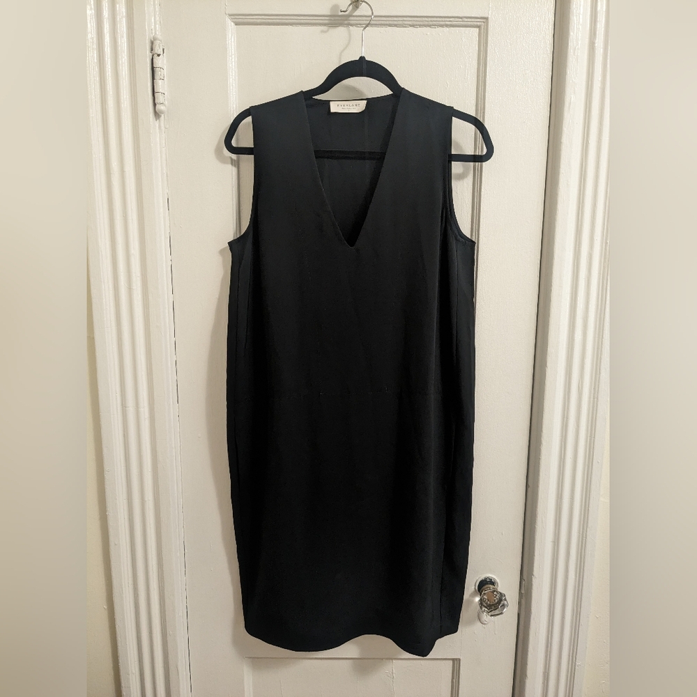 Everlane Japanese GoWeave V Neck Shift Dress